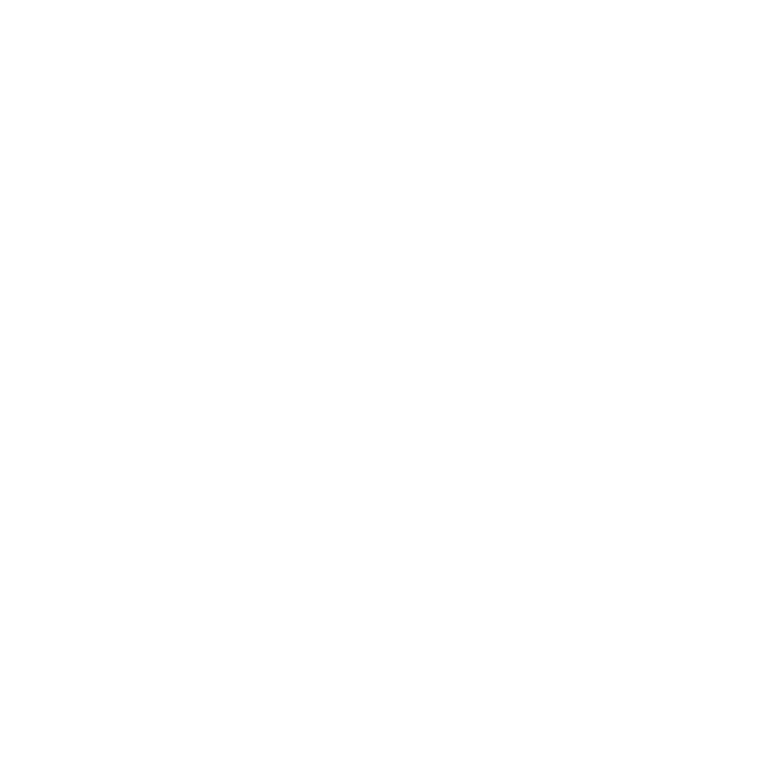 feature-item-1