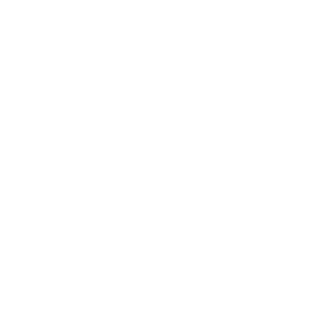 feature-item-1