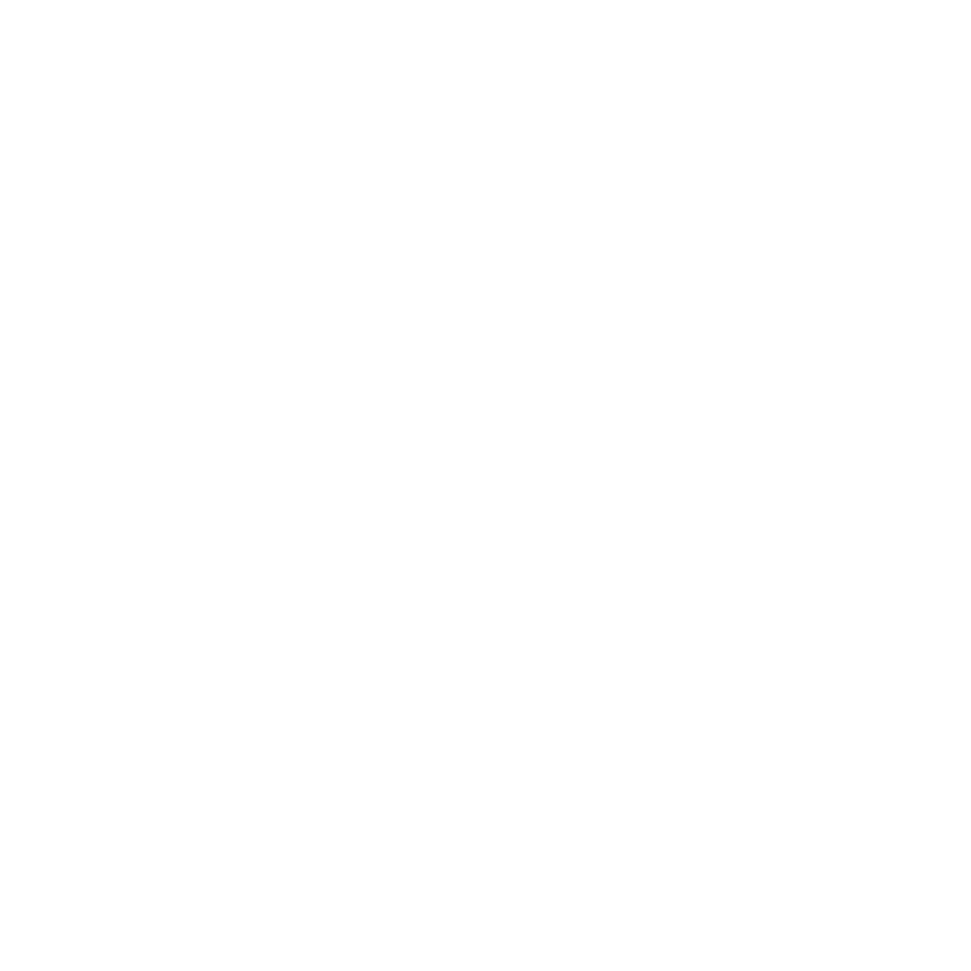 feature-item-2