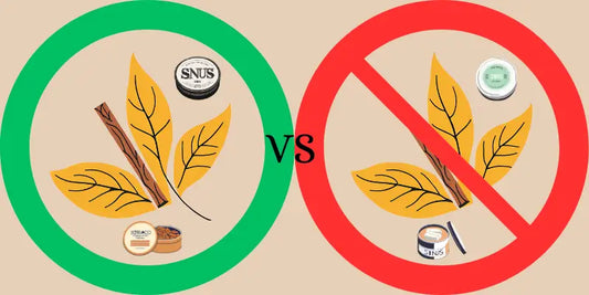 Blog Image Snus vs Nikotinbeutel